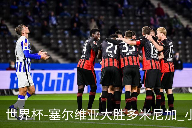 世界杯-塞尔维亚大胜多米尼加 小组第二进八强
