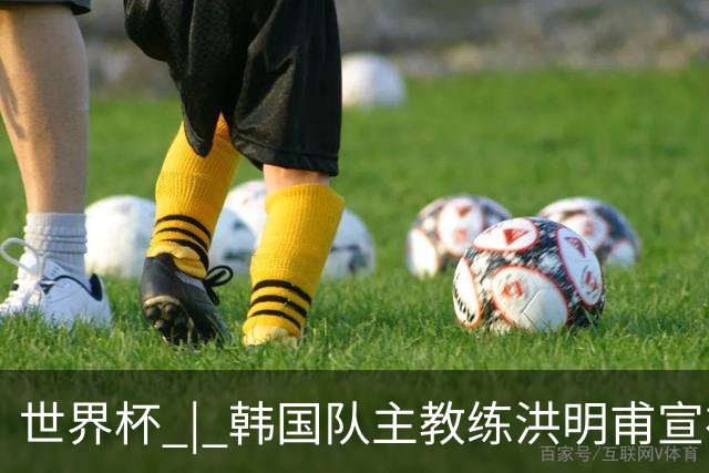 世界杯 | 韩国队主教练洪明甫宣布辞职
